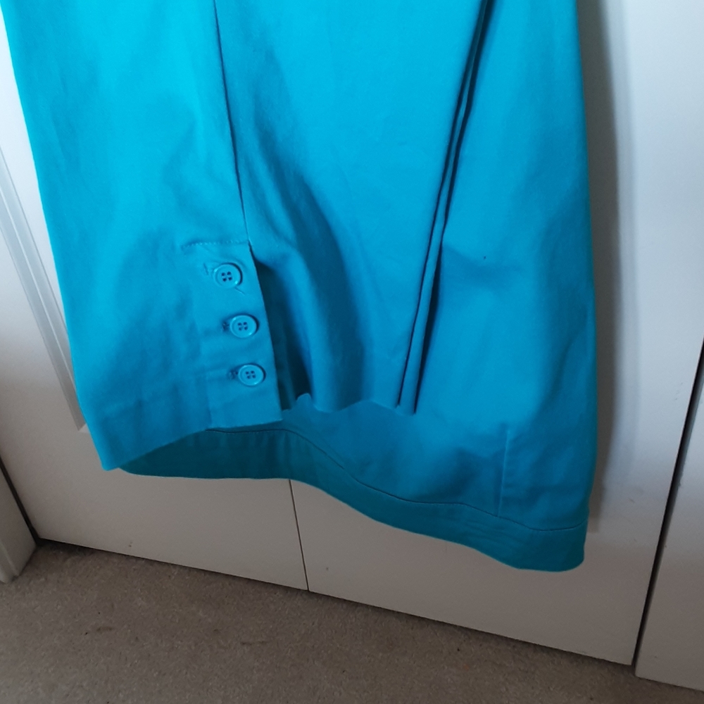 Capris - Picture 3 of 3